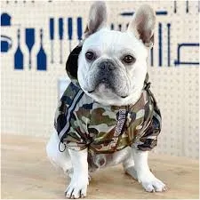 THEPUPX | CAMOUFLAGE DOG CLOTHES