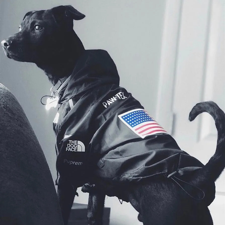 THEPUPX | CAMOUFLAGE DOG CLOTHES